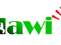 Malawi 24 Logo
