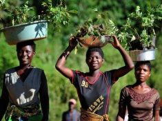Malawi Women