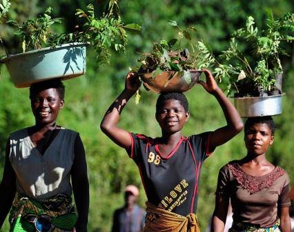 Malawi Women