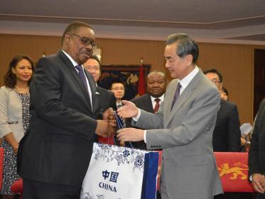 Peter Mutharika with Wang Yi