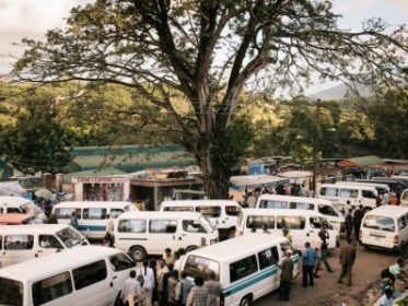 MINIBUSES