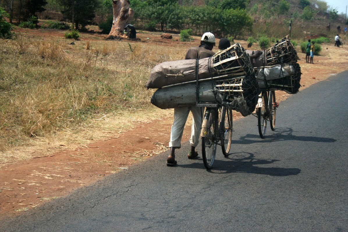 Charcoal Malawi