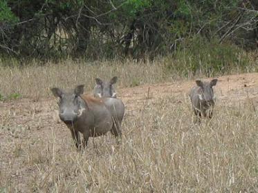 Chikwawa Lengwe National Park