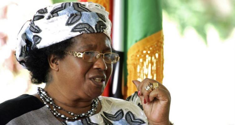 Joyce Banda Politics Malawi