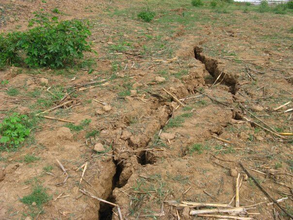 Earth tremor caused cracks on houses. (Google image of a tremor)