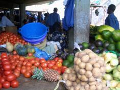 Malawi Agric