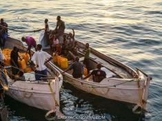 Lake Malawi fishing