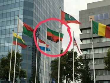 Malawi Flag UN