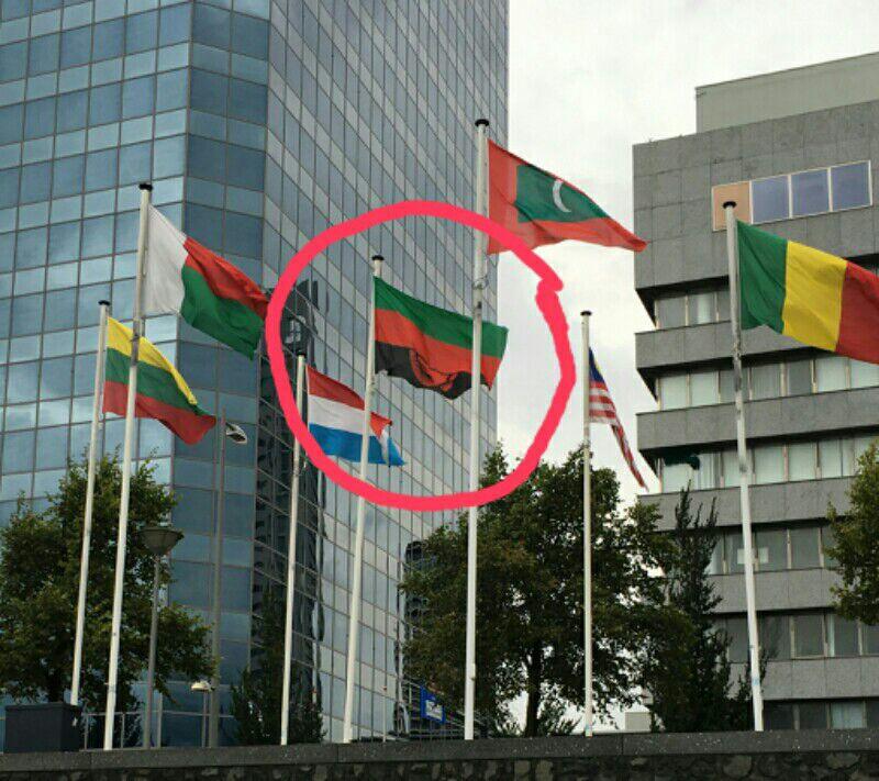 Malawi Flag UN