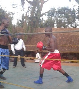 Boxing Malawi