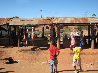 Malawi cattle ranch