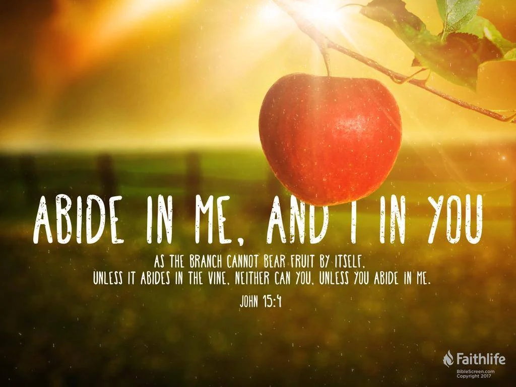 Devotion: Be in Christ- Malawi24