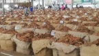 Tobacco Market Malawi