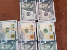 Fake Money dollars