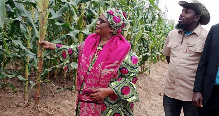 Joyce Banda ruled Malawi between January