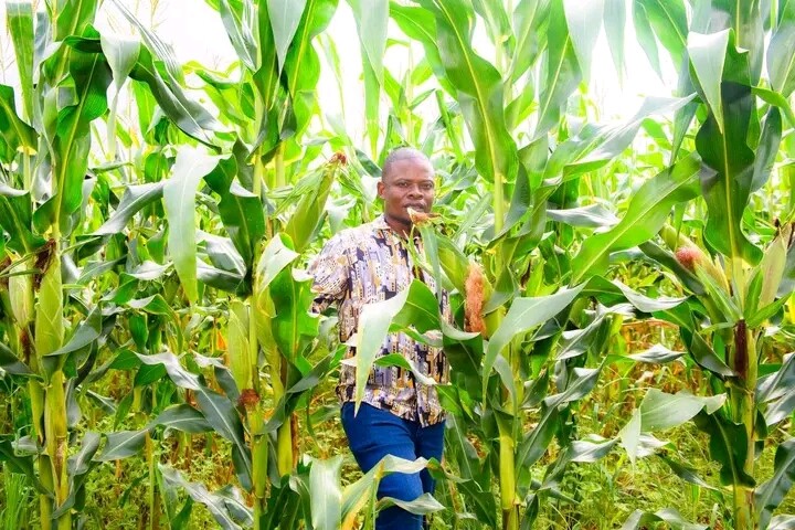 Bushiri S Goshen Farms Set To Produce 10 000 Metric Tonnes Of Maize Malawi 24 Latest News