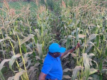 Irrigation Malawi