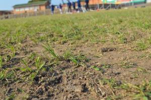 Stadium Malawi