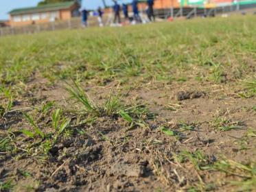 Stadium Malawi