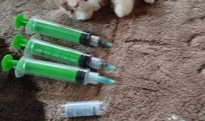 Syringes used for injecting drugs