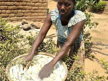 People in Malawi have been hit by hunger. This woman is one of such people in Phalombe