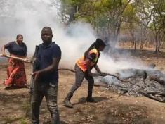 Police in Malawi destroying Indian Hemp