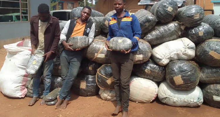 Three men have been arrested in Dowa after being found with Indian Hemp (Chamba).