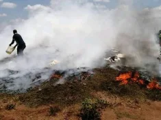 Malawi Police burning chamba on November 3