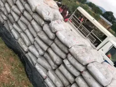 People stole bags of cement after a truck was involved in an accident last month