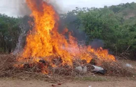Malawi Police have burnt Chamba in Dowa