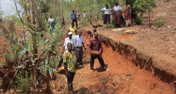 Afforestation, vetiva planting, constructing check dams, stone bands to control water flow, making marker ridges and other structures in land conservation.