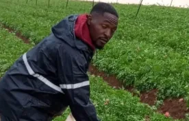 Malawi is sending youths to Israel to work in Farms