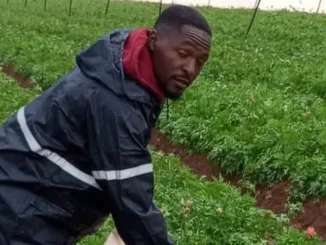 Malawi is sending youths to Israel to work in Farms