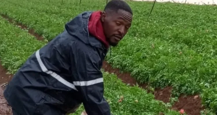 Malawi is sending youths to Israel to work in Farms