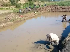Malawi Fish Farming