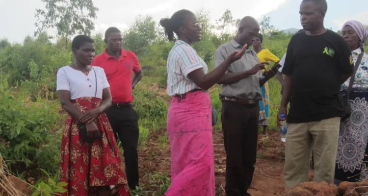 Climate Smart Enhanced  Public Works Programme (CSEPWP) activities in Zomba