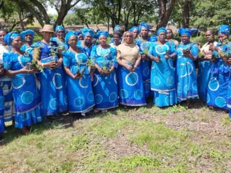 Zomba Diocese Catholic Women Organization in afforestation drive
