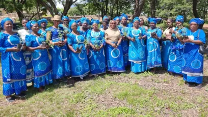 Zomba Diocese Catholic Women Organization in afforestation drive