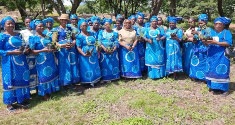 Zomba Diocese Catholic Women Organization in afforestation drive