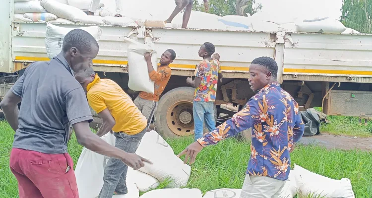 Malawi maize distribution by DODMA