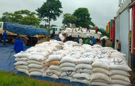 launch of the distribution exercise at Mzuzu Stadium in January 2024