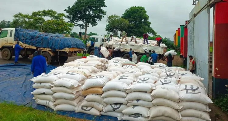 launch of the distribution exercise at Mzuzu Stadium in January 2024