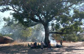 Indeed trees render so many services and ask for so little in return but they do need something from us humans. The mature trees need to be protected and the young ones need care.