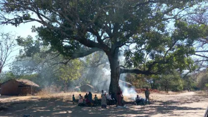 Indeed trees render so many services and ask for so little in return but they do need something from us humans. The mature trees need to be protected and the young ones need care.