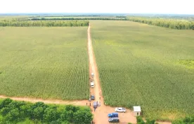 A farm owned by Shepherd Bushiri in Mchinji, Central Malawi