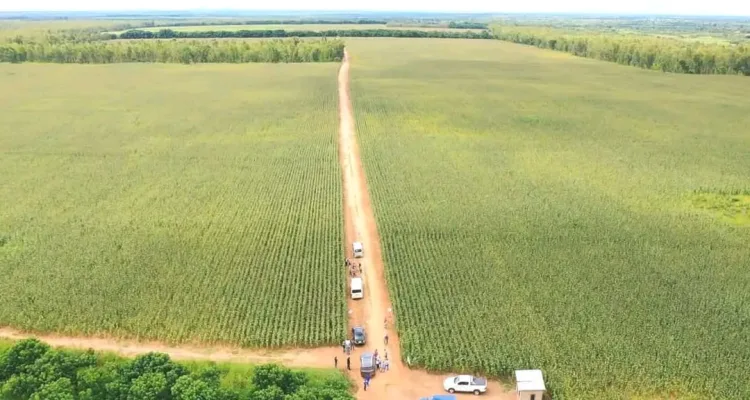 A farm owned by Shepherd Bushiri in Mchinji, Central Malawi