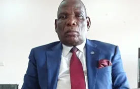 The Democratic progressive Party (DPP) has appointed Former Finance Minister Joseph Mwanamvekha as the party’s spokesperson on finance and economic affairs in Parliament.