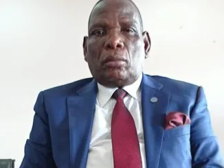 The Democratic progressive Party (DPP) has appointed Former Finance Minister Joseph Mwanamvekha as the party’s spokesperson on finance and economic affairs in Parliament.