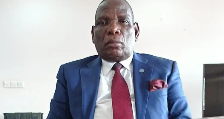 The Democratic progressive Party (DPP) has appointed Former Finance Minister Joseph Mwanamvekha as the party’s spokesperson on finance and economic affairs in Parliament.