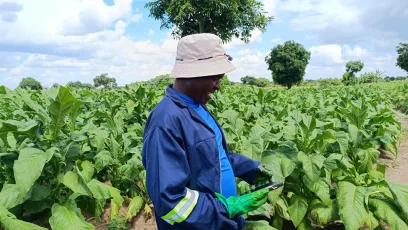 In order to increase agricultural productivity, Government through the Ministry of Finance says government will increase funding for the farm inputs loan facilitated by National Economic Empowerment Fund Limited (NEEF).